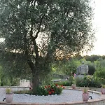 Le Pietre Parlanti & Winery * Montegabbione