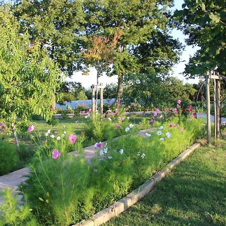 Le Pietre Parlanti & Winery