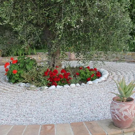 Feriested Le Pietre Parlanti & Winery *